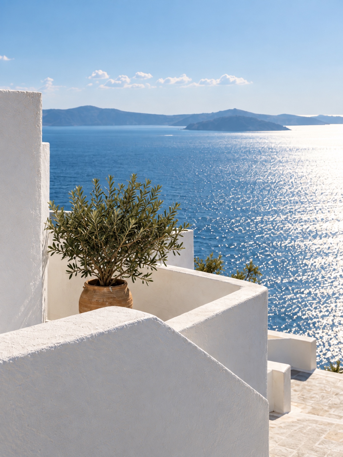 Demonstration image of a potted olive tree on a sunlit white terrace above blue sea.